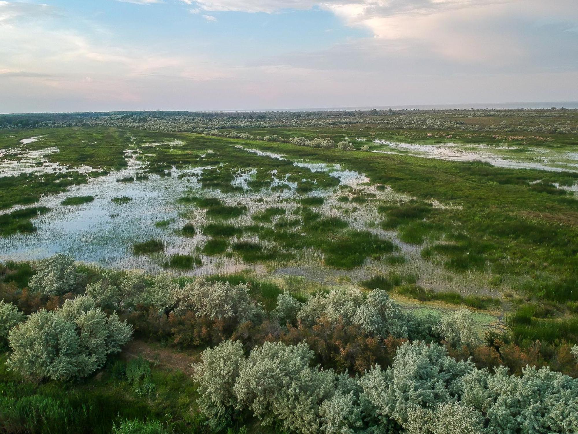 Dolphin Camping Sfântu Gheorghe Exterior foto