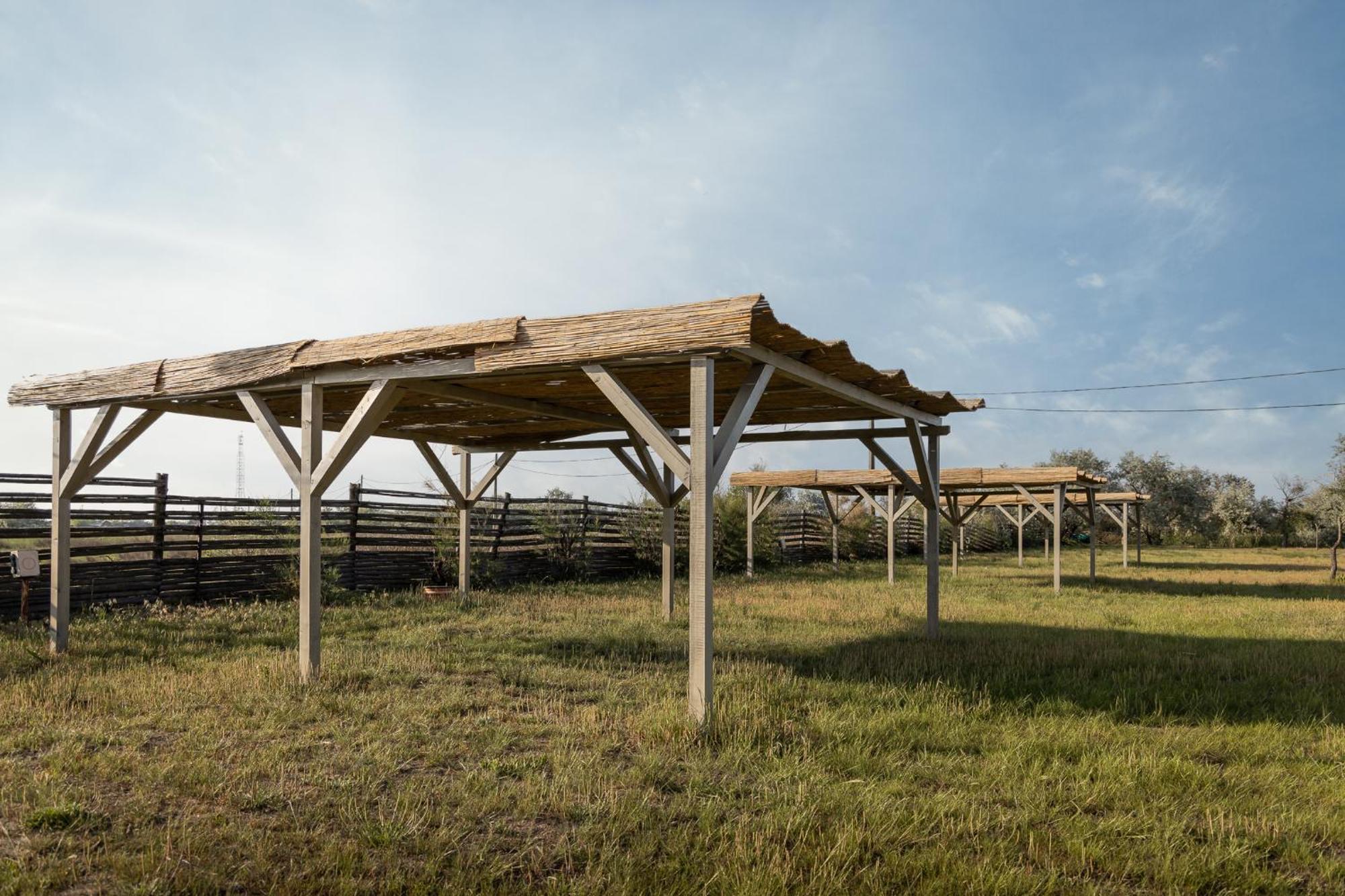 Dolphin Camping Sfântu Gheorghe Exterior foto